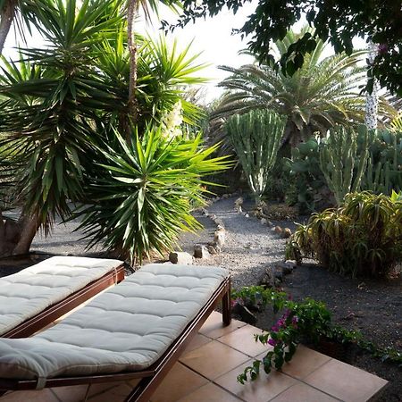 Casa Panama,In Der Finca Mimosa 테기세 외부 사진
