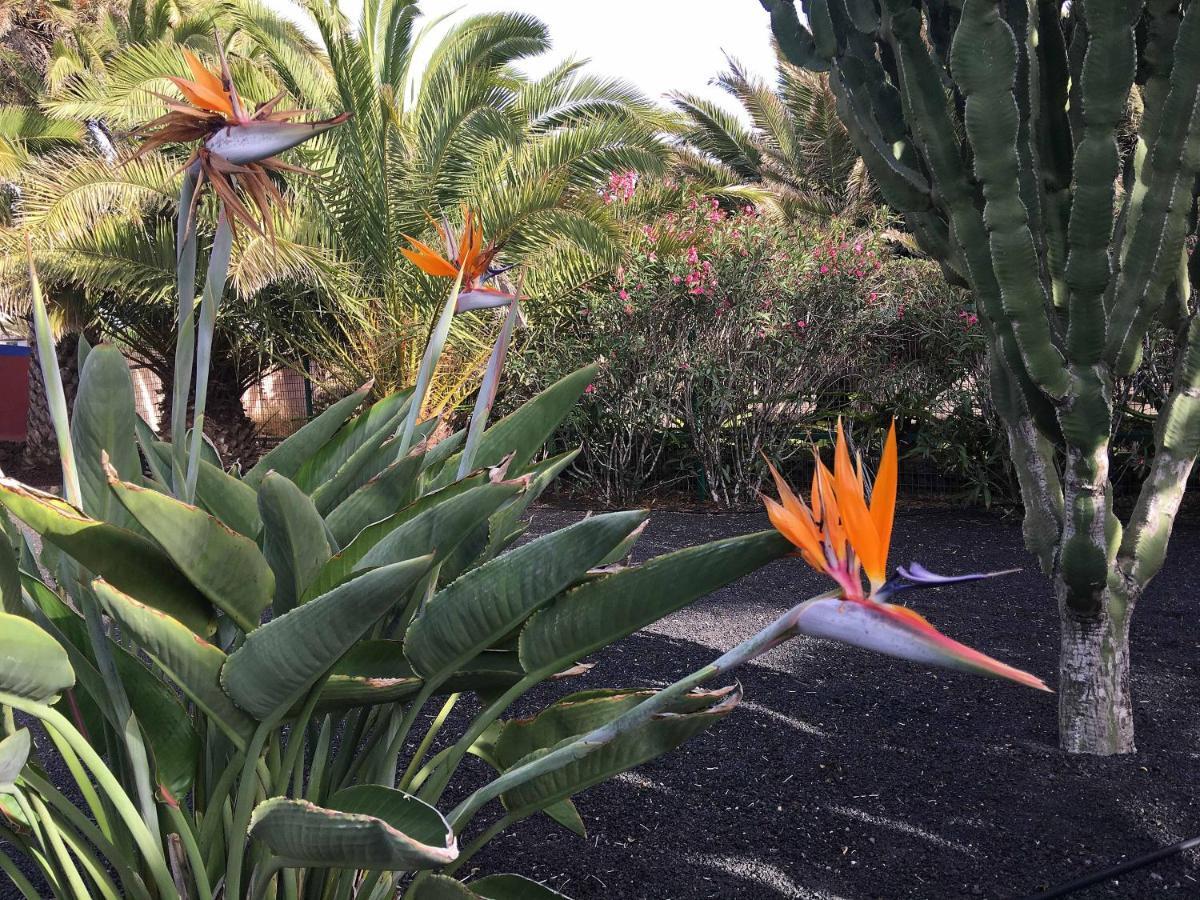 Casa Panama,In Der Finca Mimosa 테기세 외부 사진